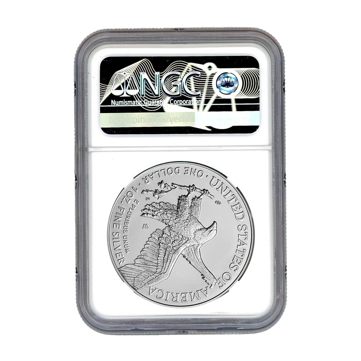 2024 W Silver Eagle Burnished - NGC MS70 Early Release In God We Trust Label