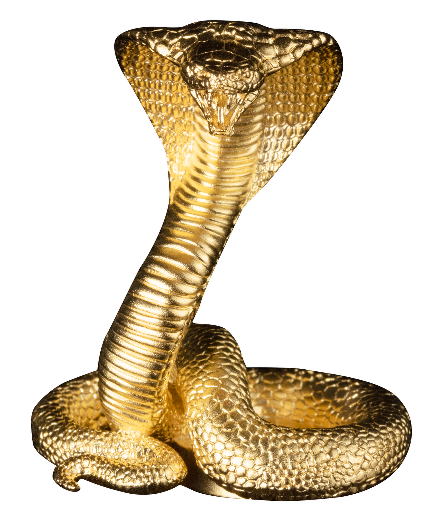 2025 3 oz Silver Snake 3D King Cobra 24K Gold Plating - CoinsTV