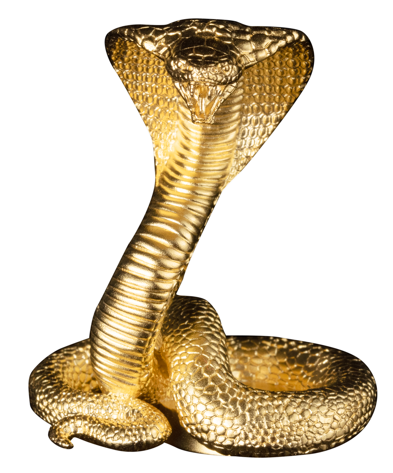 2025 3 oz Silver Snake 3D King Cobra 24K Gold Plating - CoinsTV