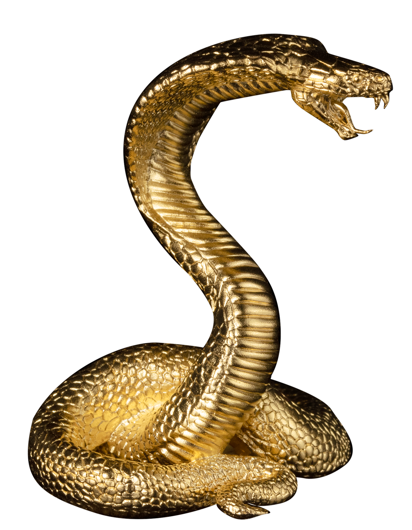 2025 3 oz Silver Snake 3D King Cobra 24K Gold Plating - CoinsTV