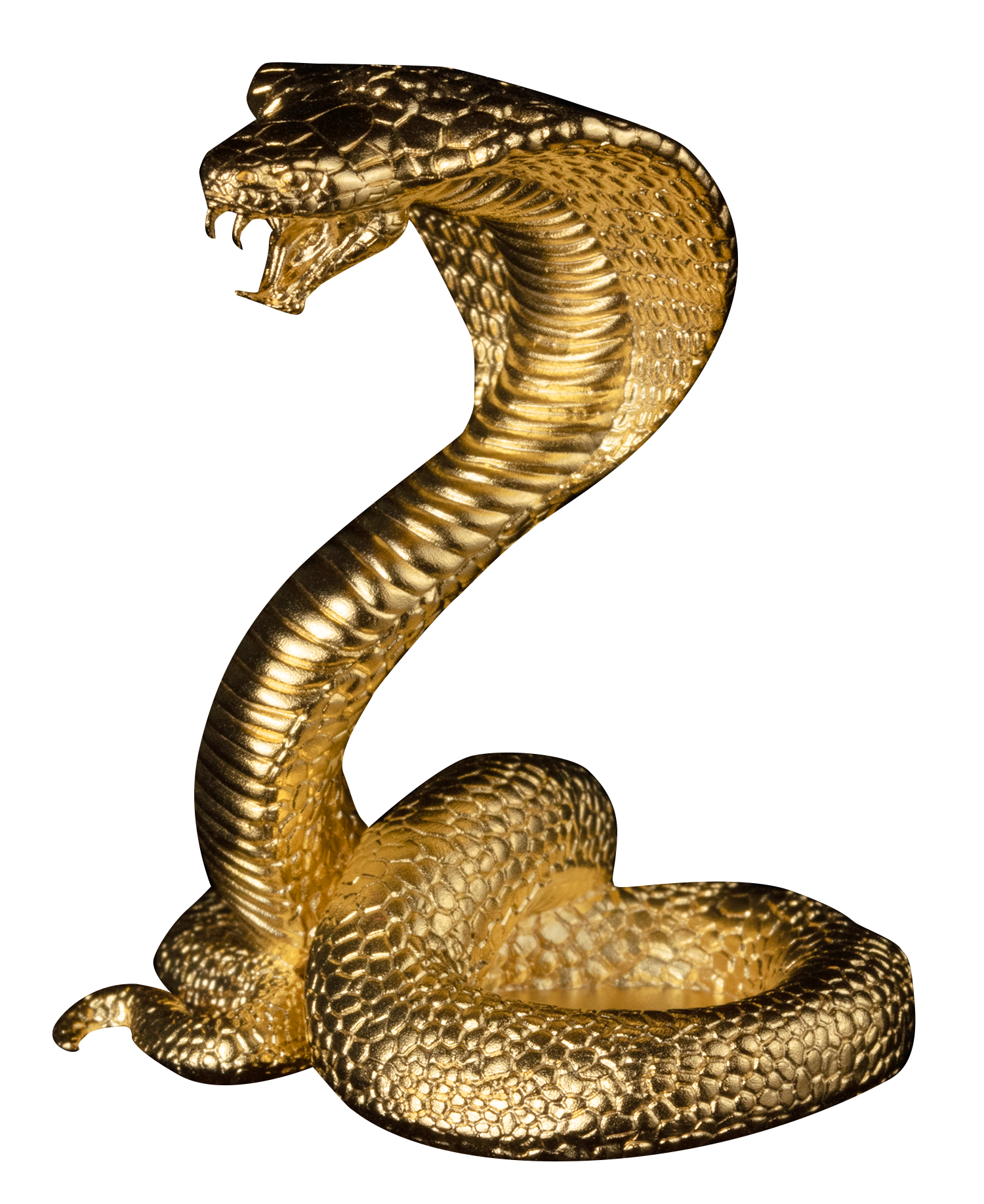 2025 3 oz Silver Snake 3D King Cobra 24K Gold Plating - CoinsTV