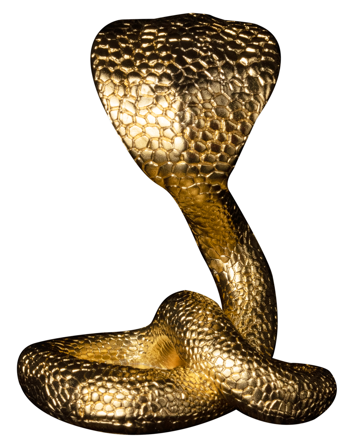 2025 3 oz Silver Snake 3D King Cobra 24K Gold Plating - CoinsTV