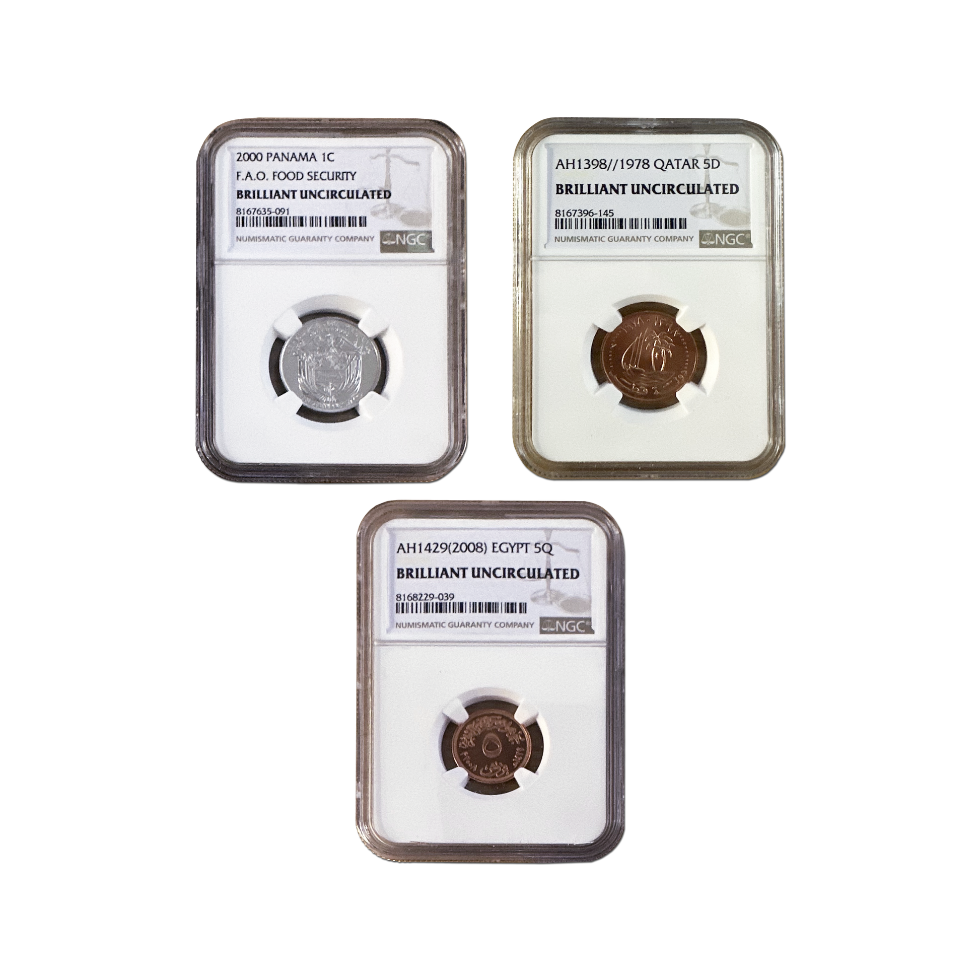 Global Coin Collection Grab Bag – NGC Certified BU - CoinsTV