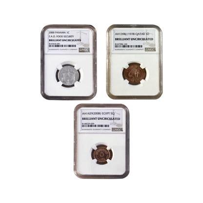 Global Coin Collection Grab Bag – NGC Certified BU - CoinsTV