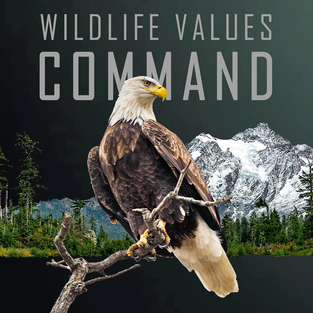 2026 Cameroon Wildlife Values Eagle Command 5 oz Copper Coin