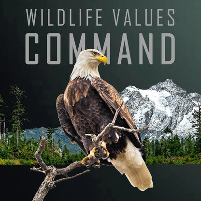 2026 Cameroon Wildlife Values Eagle Command 5 oz Copper Coin