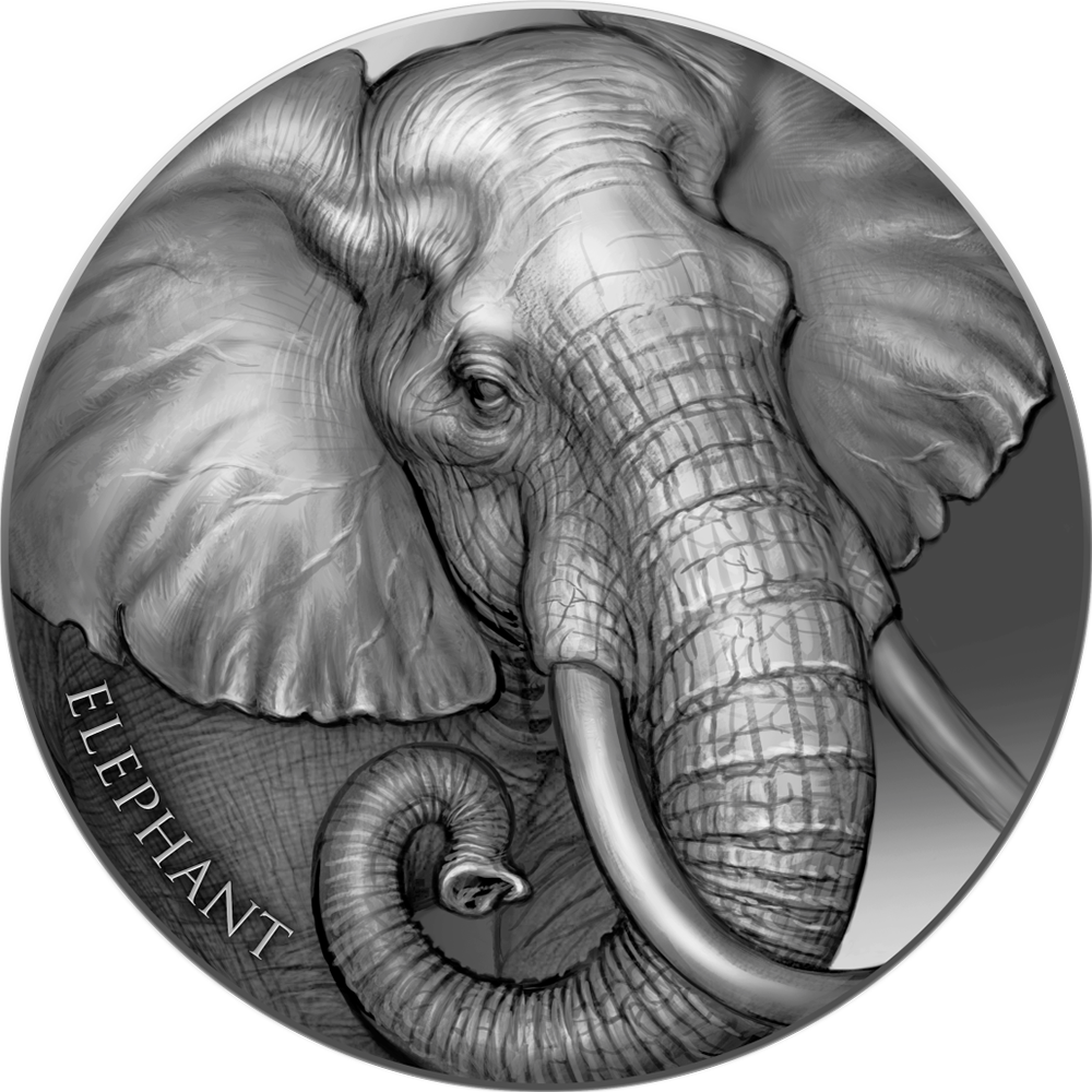 2023 Cameroon Expressions of Wildlife Elephant 2 oz Silver Coin - CoinsTV