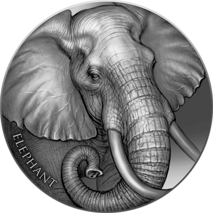 2023 Cameroon Expressions of Wildlife Elephant 2 oz Silver Coin - CoinsTV