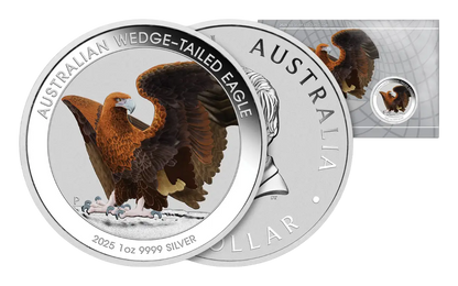 2025 Australia Silver Wedge Tailed Eagle Colorized 1 oz Silver - BU - CoinsTV