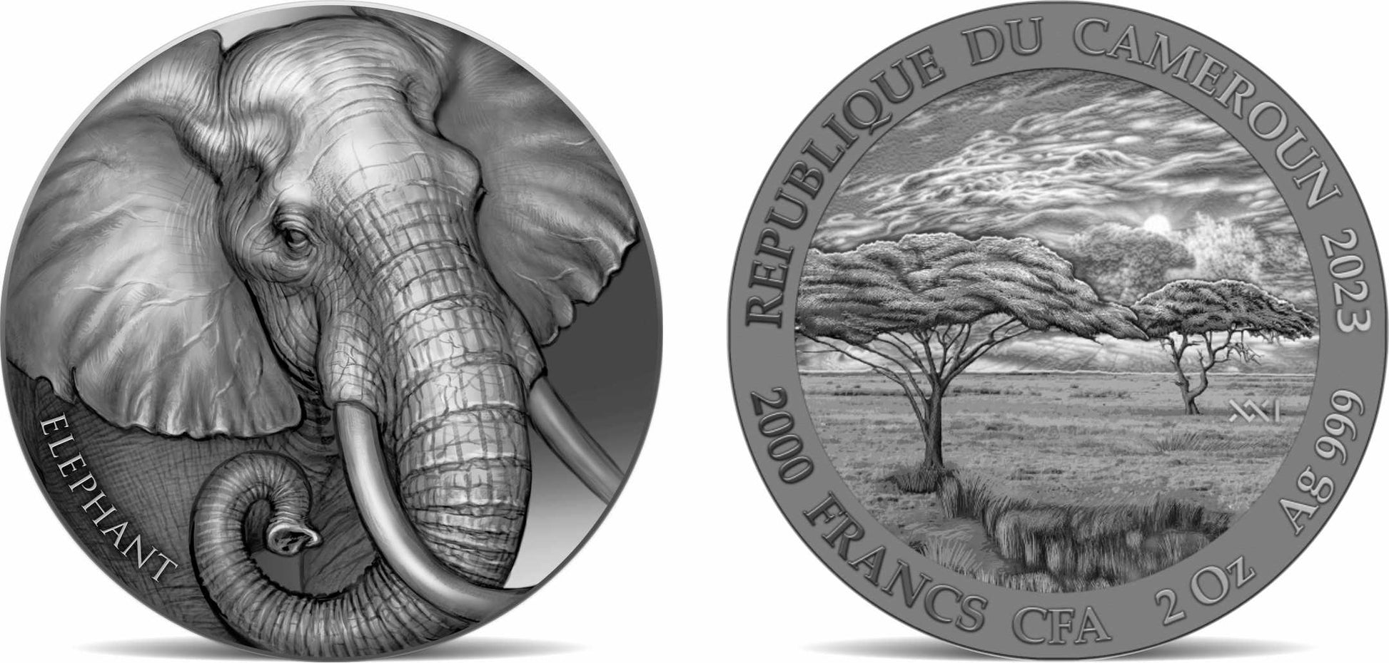 2023 Cameroon Expressions of Wildlife Elephant 2 oz Silver Coin - CoinsTV