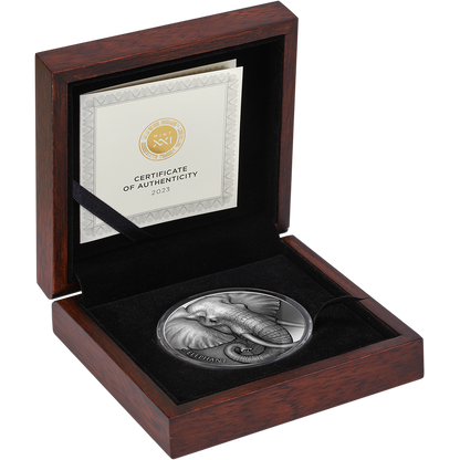 2023 Cameroon Expressions of Wildlife Elephant 2 oz Silver Coin - CoinsTV