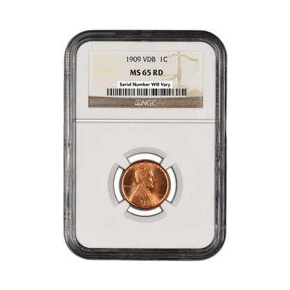 1909 VDB Lincoln Cent - NGC or PCGS MS65 RD - CoinsTV