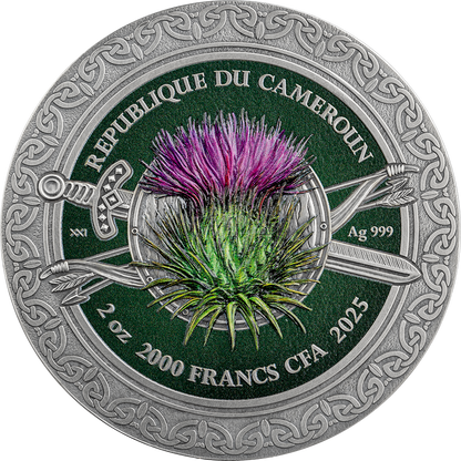 2025 Cameroon Femina Bellator Celtic 2 oz Silver Coin - CoinsTV