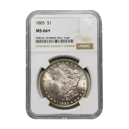 1885 Morgan Silver Dollar Philadelphia - NGC MS66+