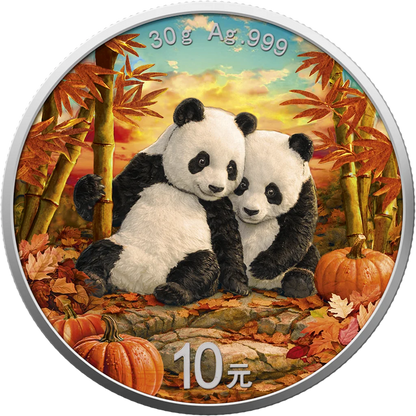 2026 China Panda Four Seasons - Autumn Edition 30g Silver Coin