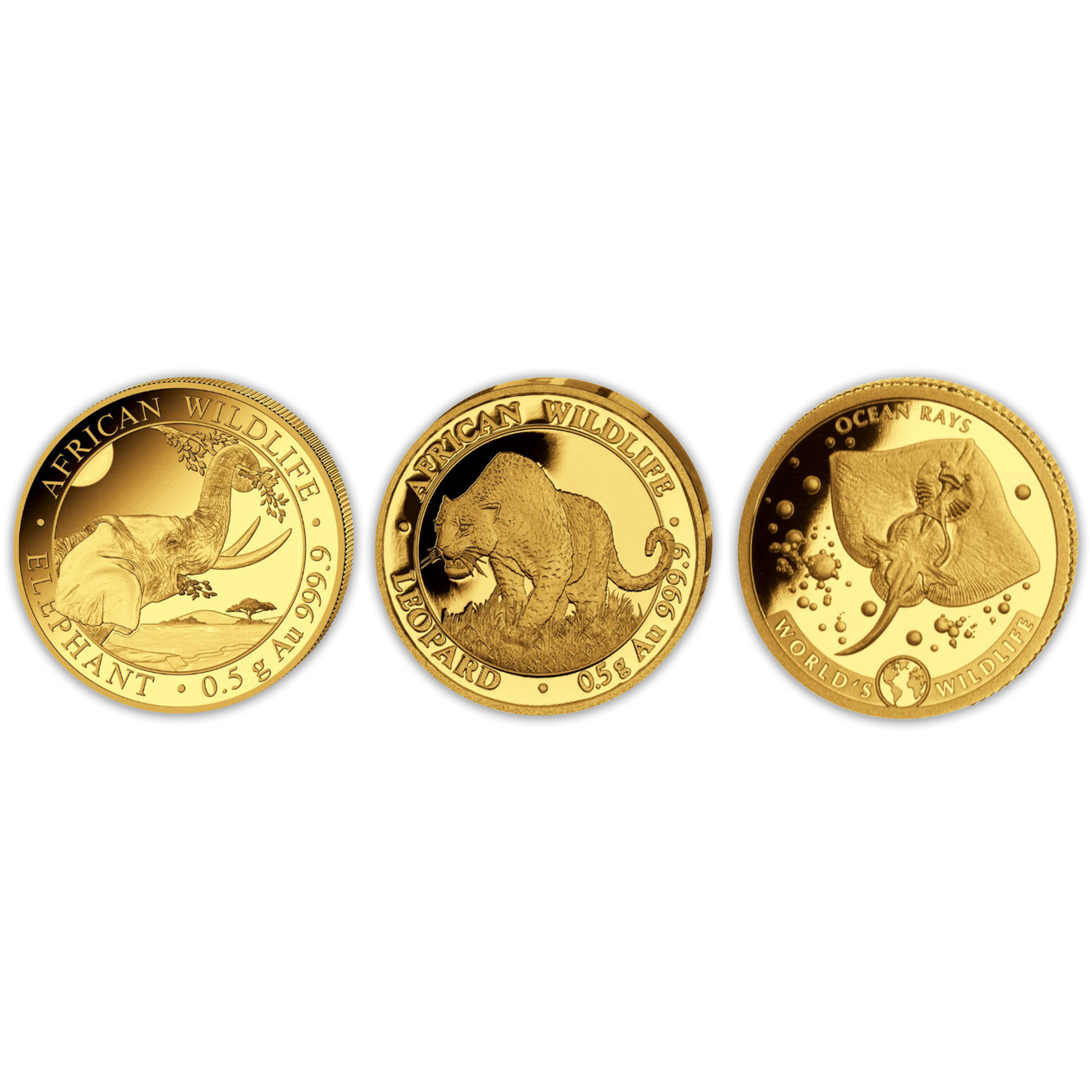 2023 African Wildlife Collection 0.5g Gold Grab Bag | CoinsTV