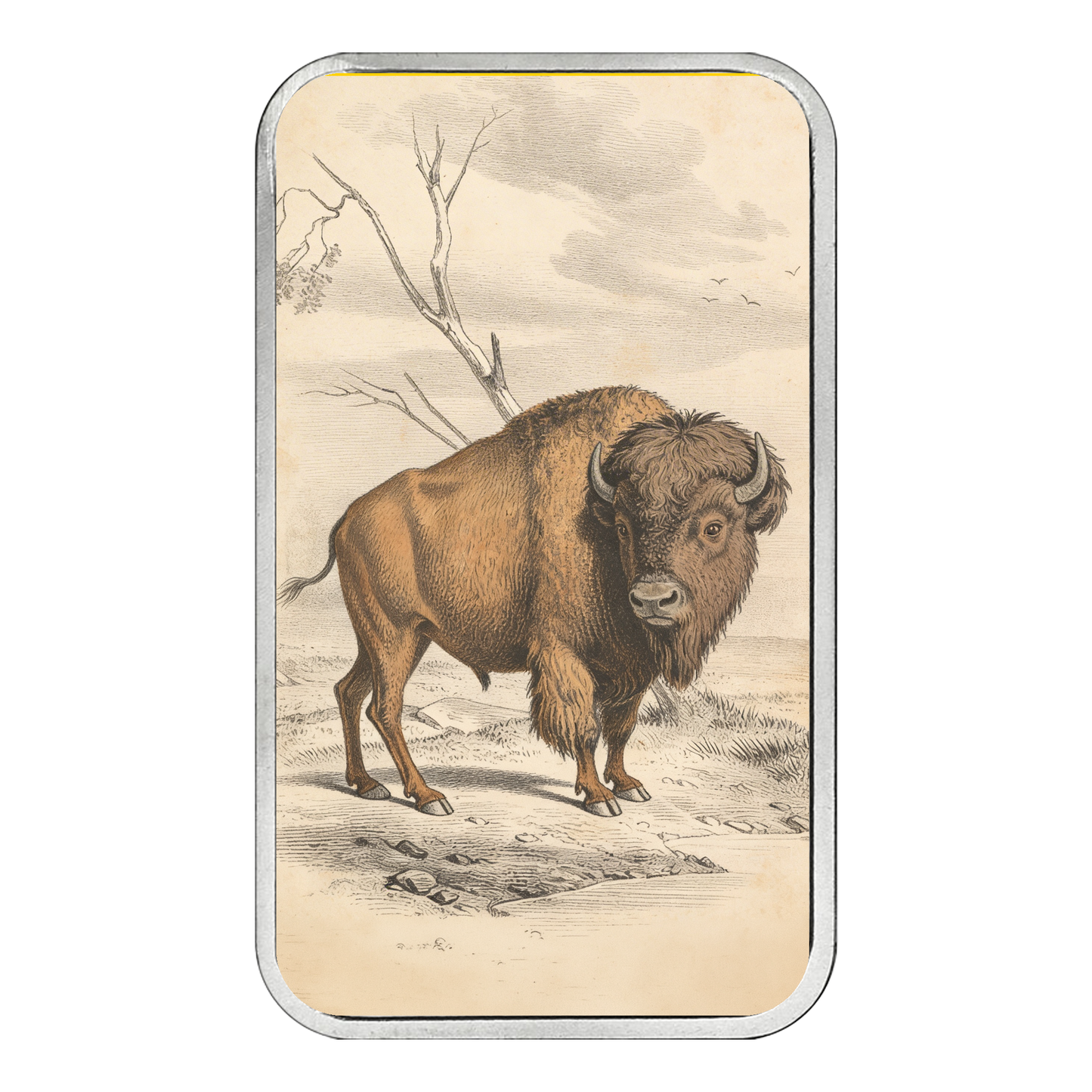 Americana 1 oz Silver Bar - The Land - CoinsTV