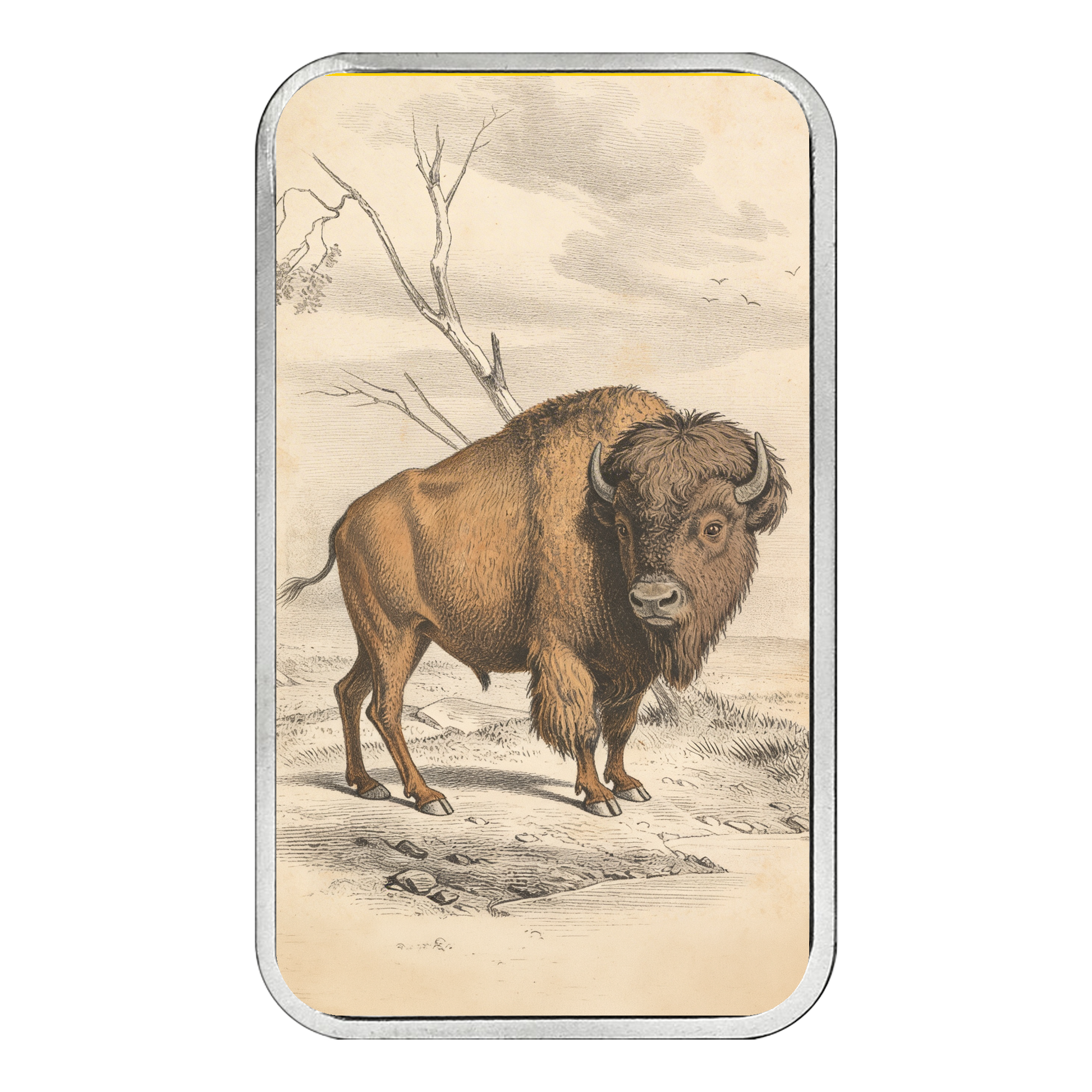 Americana 1 oz Silver Bar - The Land - CoinsTV