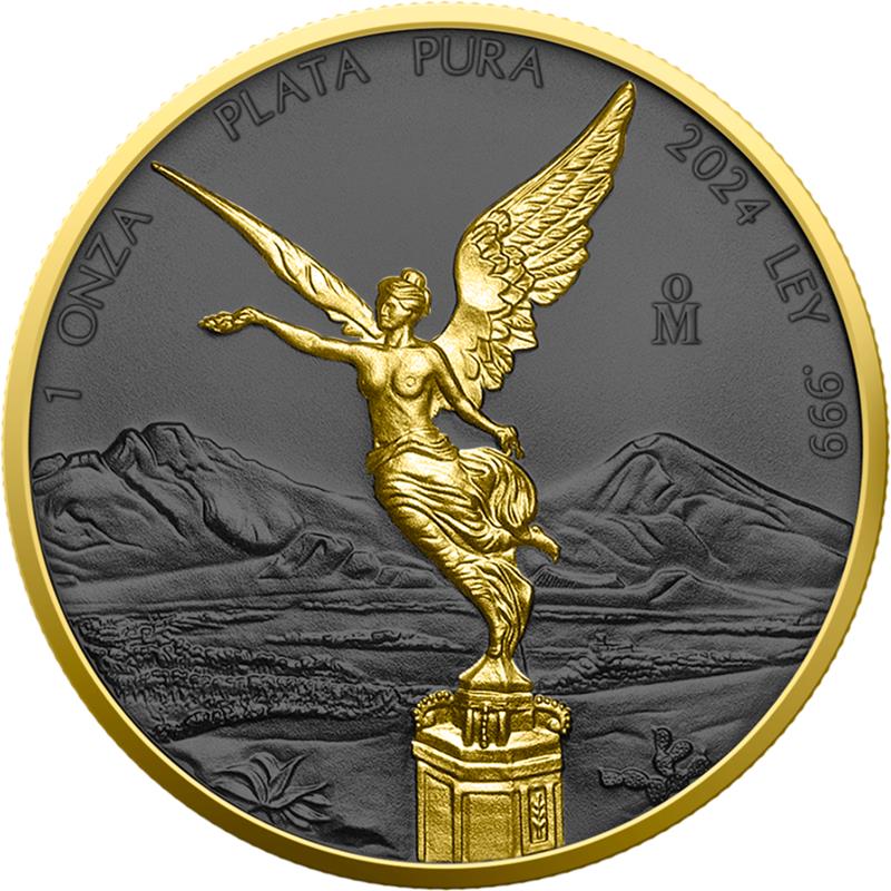 2024 Golden Ring Libertad 1 Oz Silver Coin - CoinsTV
