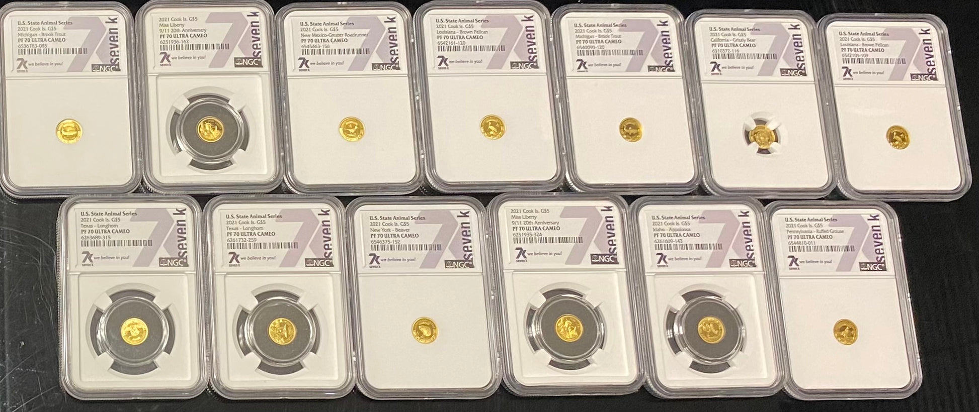 2021 United States Animal Series & Anniversary Gold Grab Bag - NGC - CoinsTV