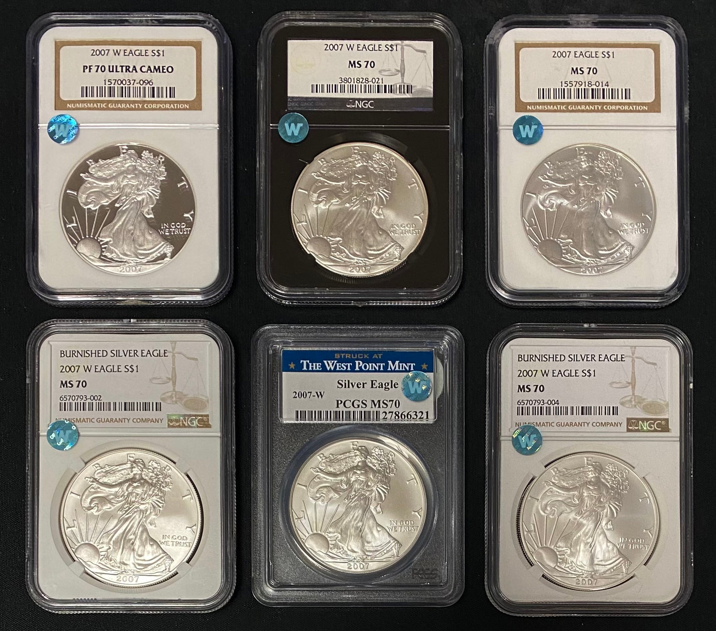 2007 Silver Eagle Sight White Grab Bag - NGC or PCGS Perfect Grade 70 - CoinsTV