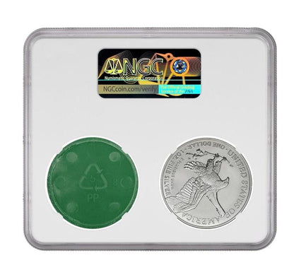 2024 Silver Eagle NGC MS70 w/ Original U.S. Mint Packaging (Curio Collection)