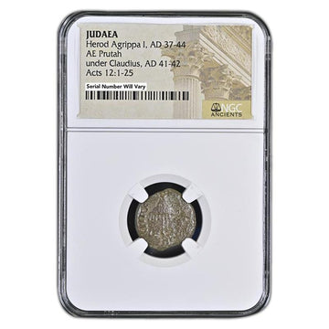 Judaea AE Agrippa 1st (AD 41-44) Prutah NGC(MG)