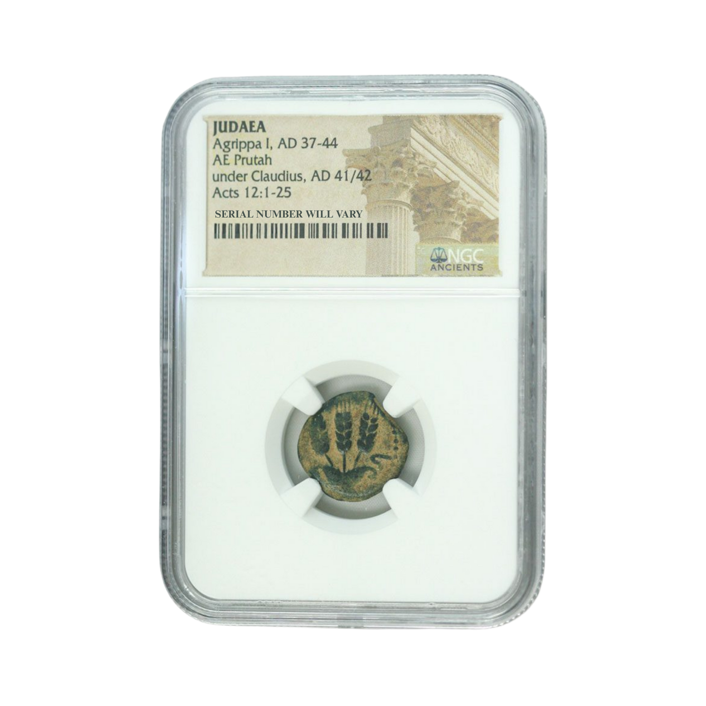 Ancient Roman Coin Judaea Agrippa AE Prutah 1st (AD 41-44) - NGC(HG)