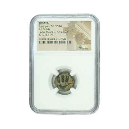 Ancient Roman Coin Judaea Agrippa AE Prutah 1st (AD 41-44) - NGC(HG)