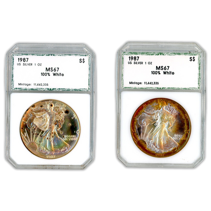 1987 Silver Eagle -Toning - PCI MS67