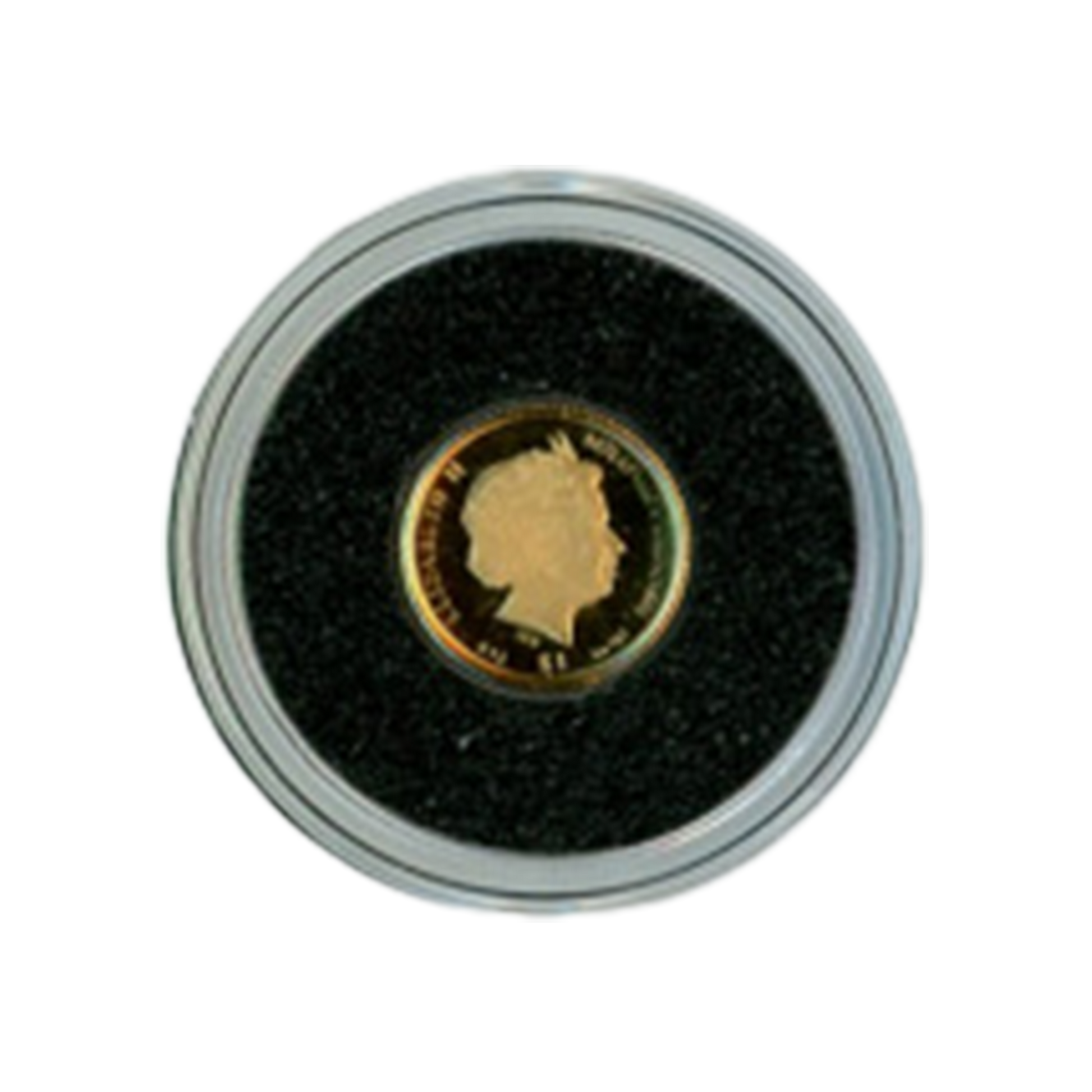 2019 Franklin D. Roosevelt - 0.5 gram Gold Proof - CoinsTV
