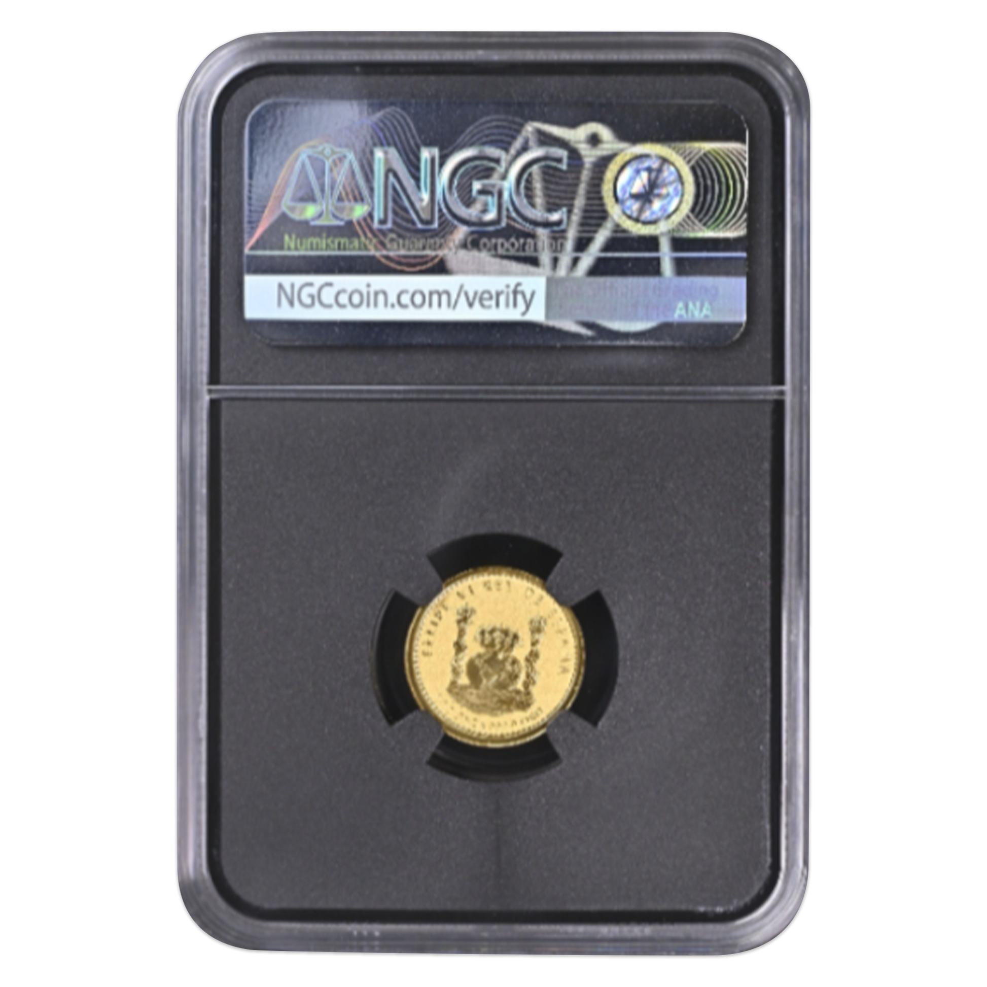 2023M Spanish Doubloon Bull - NGC PF70 Reverse Magnum Opus Label - CoinsTV