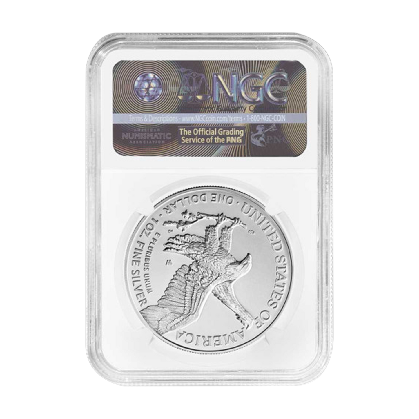 2023 W Silver Eagle Burnished - NGC MS70 Early Release In God We Trust Label