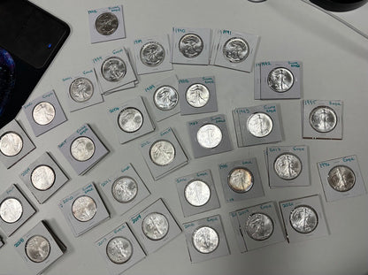 Silver Eagle Green Tag Grab Bag - CoinsTV