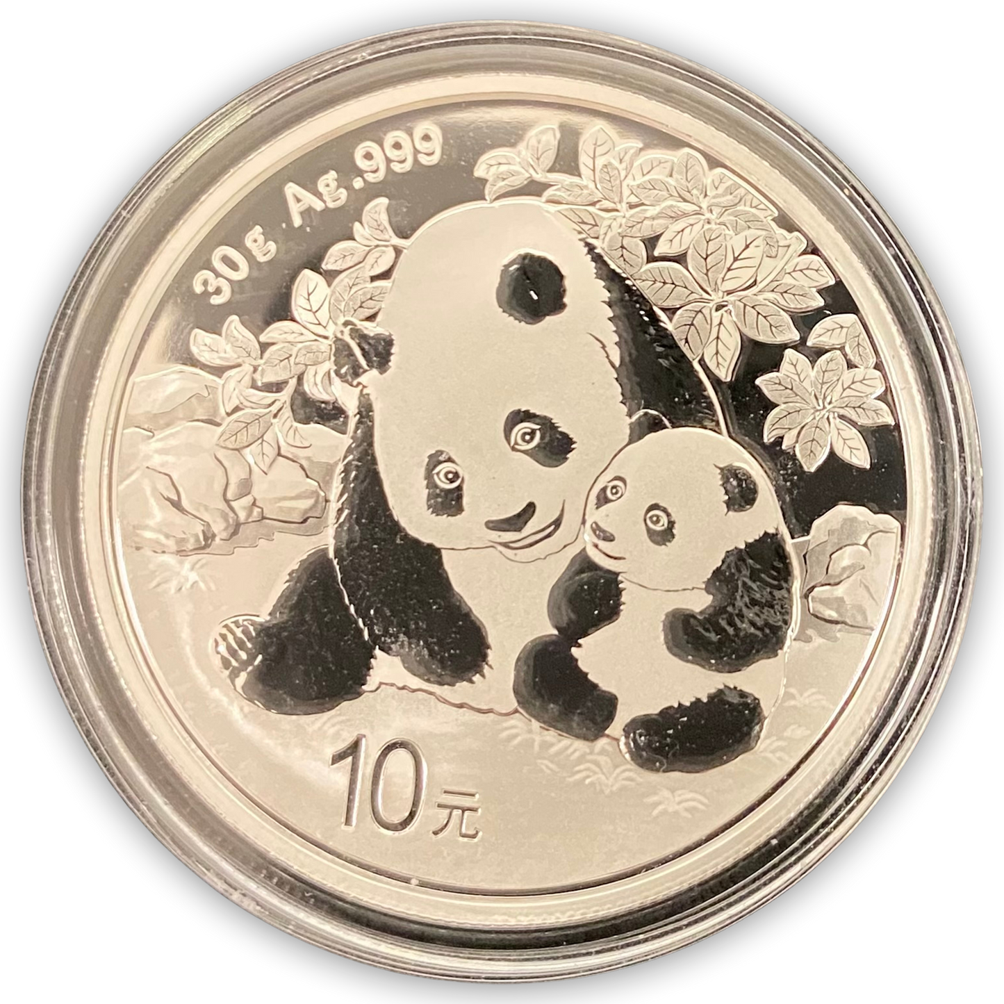 2024 China Panda - 30 gram .999 Silver BU