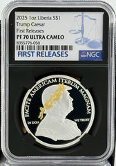 2025年 ブリタニア 銀貨 PF 70 ULTRA CAMEO 1オンス PhotoJul252025_84823AM_medium.