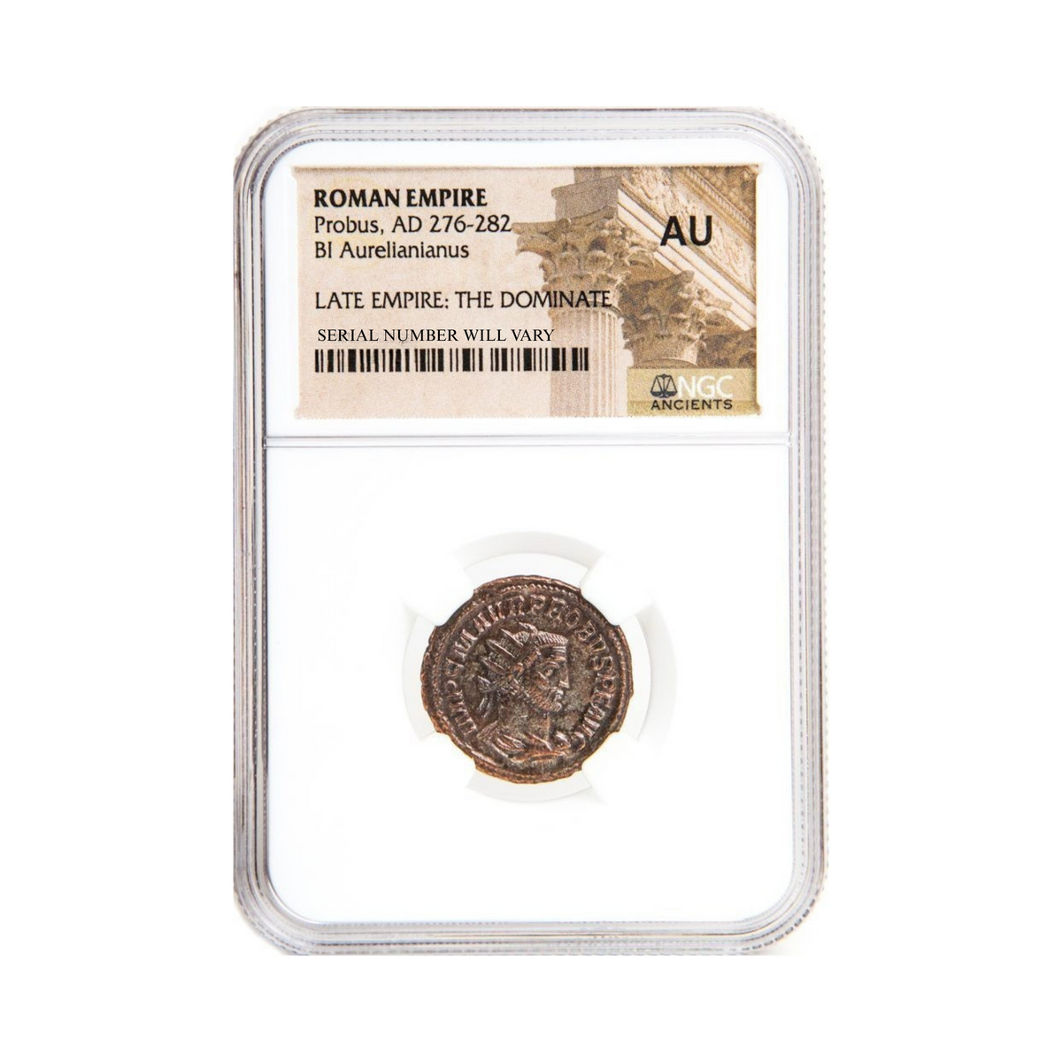 Roman AE Probus (AD 276-282) - NGC AU