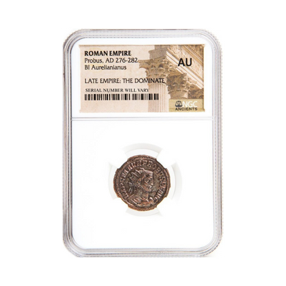 Roman AE Probus (AD 276-282) - NGC AU