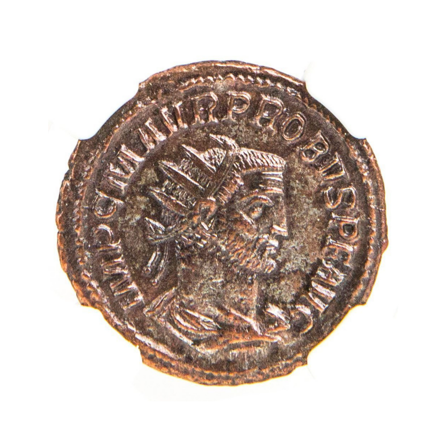 Roman AE Probus (AD 276-282) - NGC AU