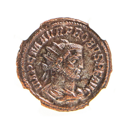 Roman AE Probus (AD 276-282) - NGC AU