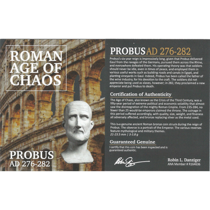 Roman AE Probus (AD 276-282) - NGC AU