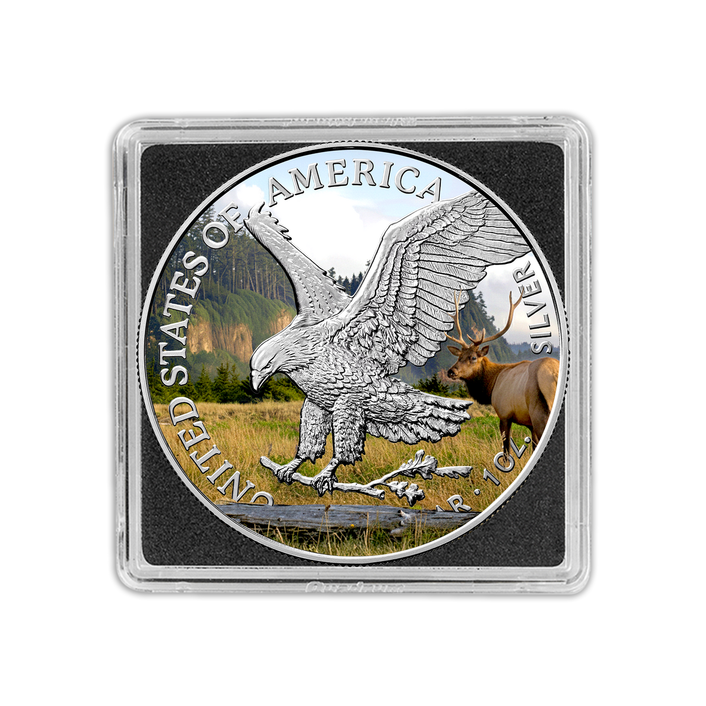 2025 Silver Eagle - Redwood National and State Parks - National Parks Series