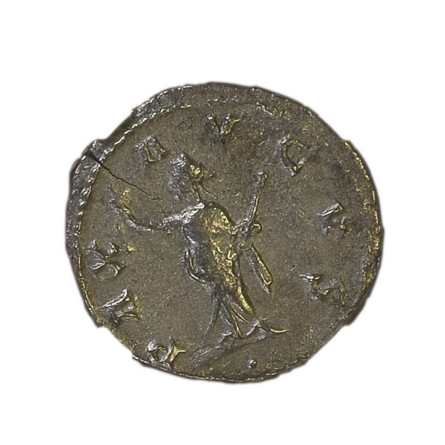 Roman Silver Antoninianus of Trebonianus Gallus (AD 251-253) - NGC F - CoinsTV