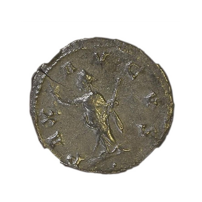 Roman Silver Antoninianus of Trebonianus Gallus (AD 251-253) - NGC F - CoinsTV