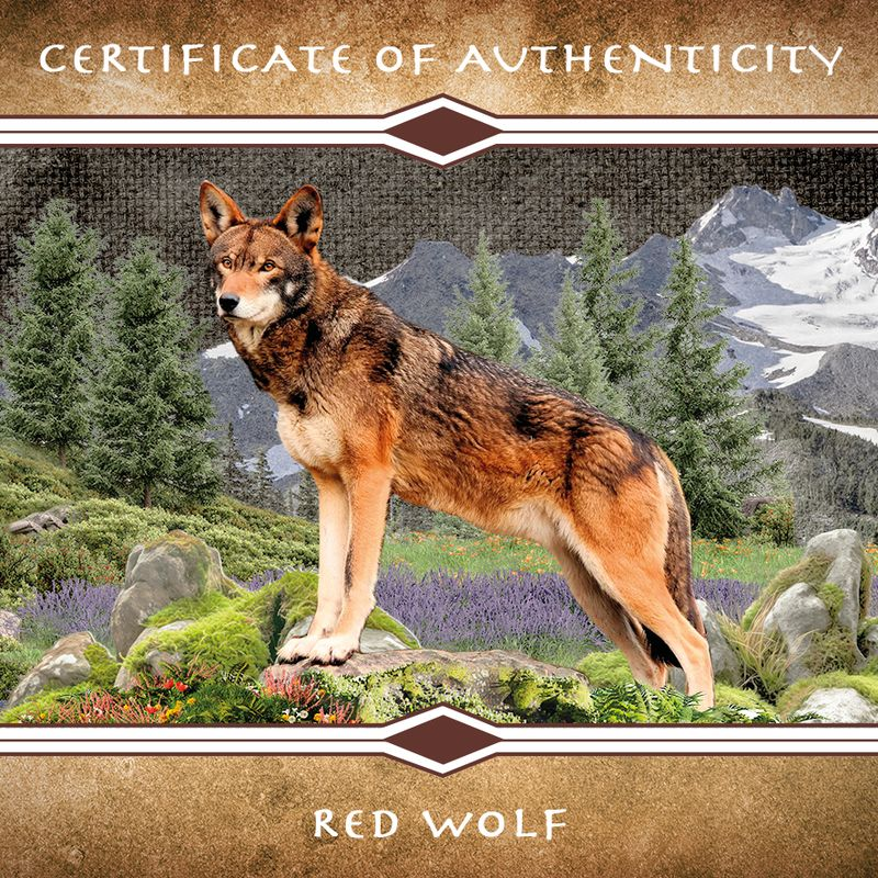 2025 Mesa Grande Red Wolf Colorized Proof 5 oz Copper Coin - CoinsTV