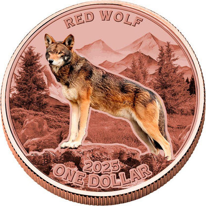 2025 Mesa Grande Red Wolf Colorized Proof 5 oz Copper Coin - CoinsTV