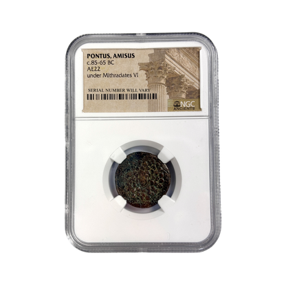 Ancient Roman Coin Pontus Amisus Gorgon Type AE22 under Mithradates - NGC Slab(NG)