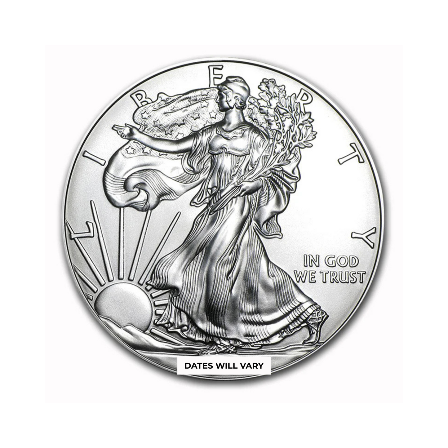 Silver Eagle Brilliant Uncirculated Grab Bag - CoinsTV