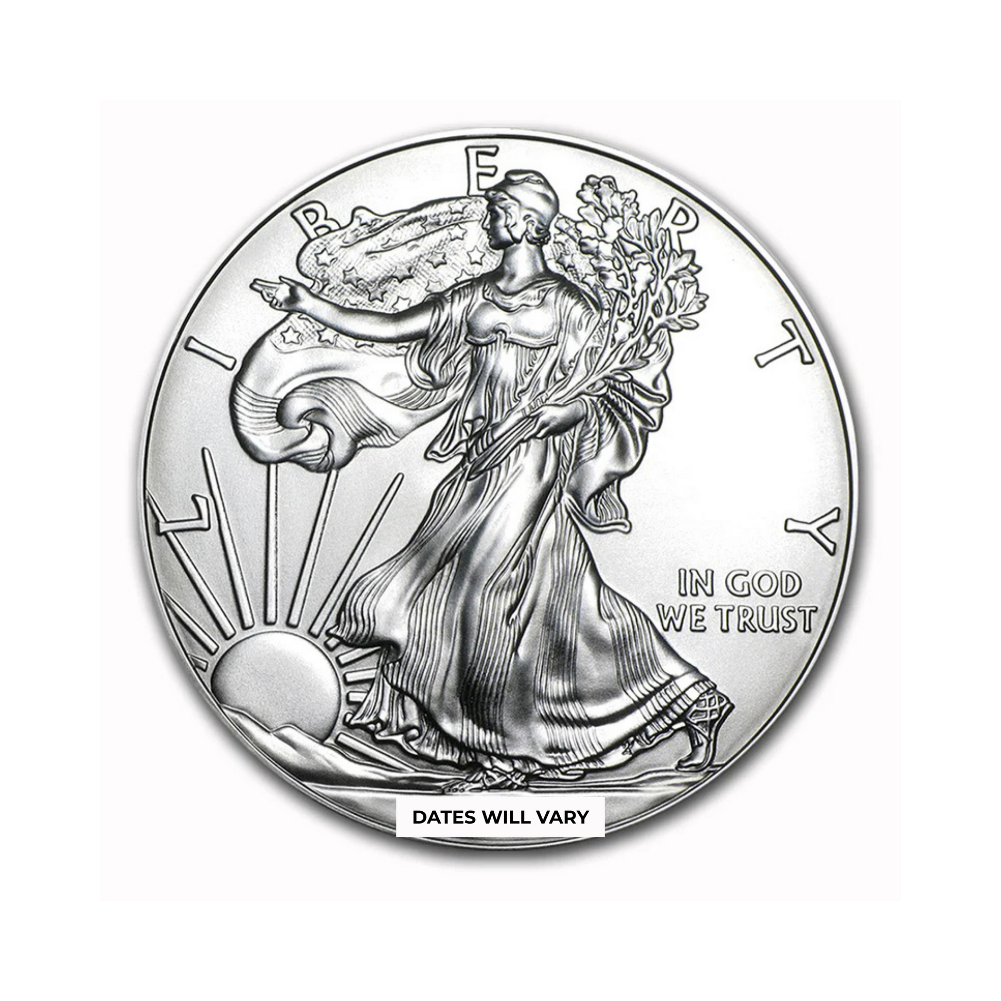 Silver Eagle Brilliant Uncirculated Grab Bag - CoinsTV