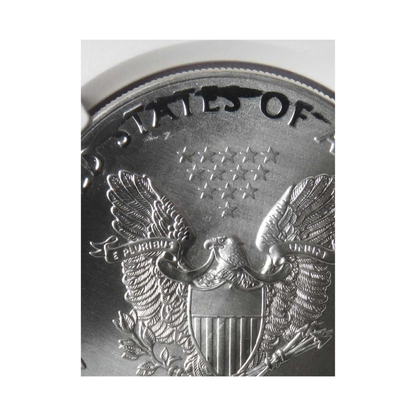 2017 Silver Eagle - Mint Error Reverse Struck Thru - NGC MS69 - CoinsTV